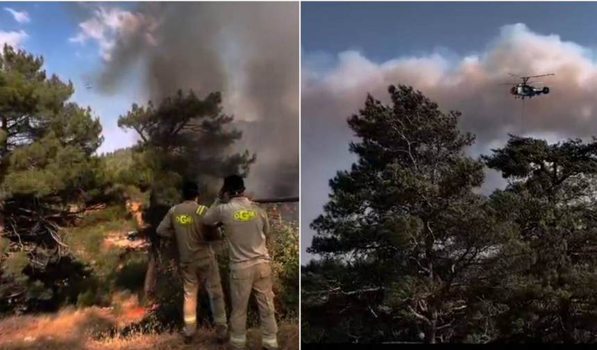 Mersin ve Hatay’da orman yangınları devam ediyor