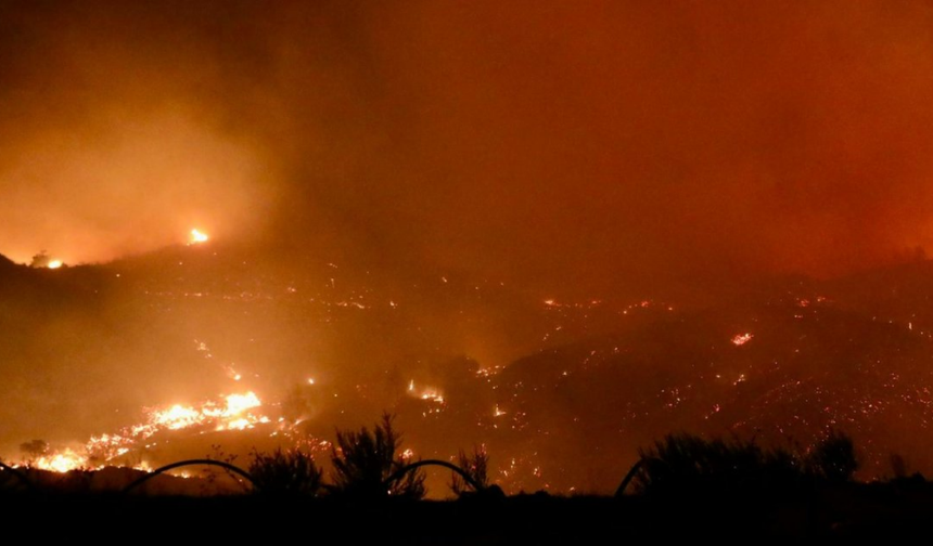 Alanya’daki yangın kontrol altında: 300 hektar alan zarar gördü