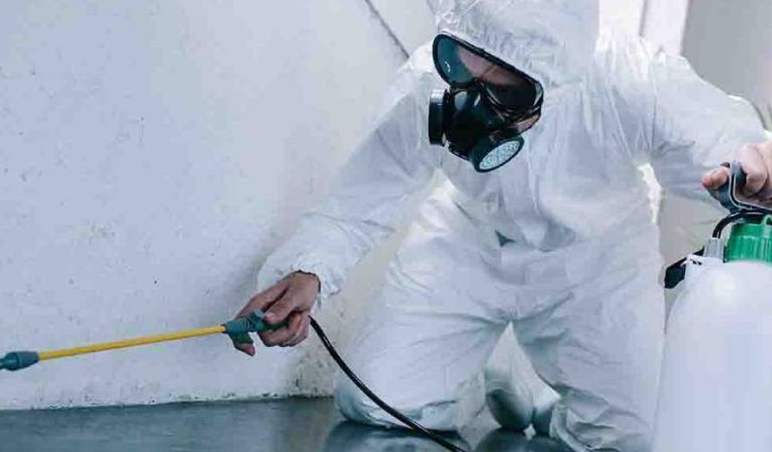 Ruhsatsız haşere ilaçlama firmaları vatandaşları tehlikeye atıyor