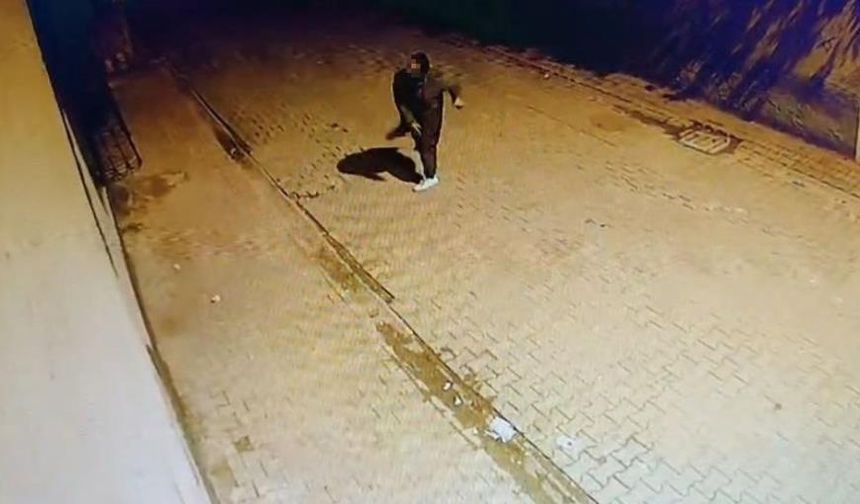 Adana'da seri cam kırma vakası: Bir haftadır yapıyor