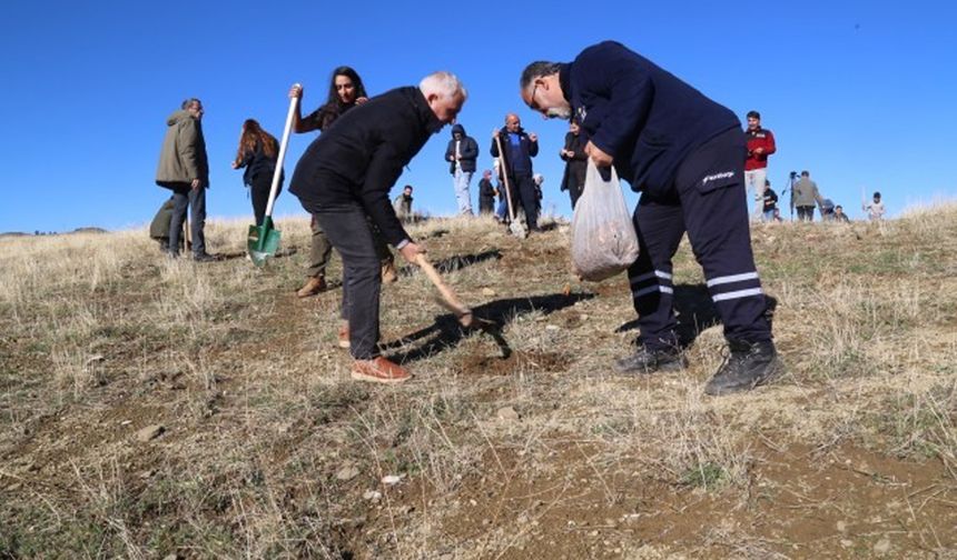 Diyarbakır’da büyük yangın alanına 5 bin palamut ağacı ekildi