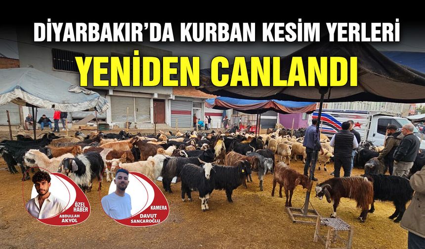 Diyarbakır’da kurban kesim yerleri yeniden canlandı