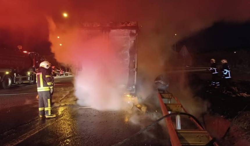 Şanlıurfa’da beyaz eşya yüklü tır alevlere teslim oldu