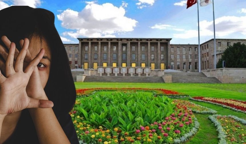 TBMM'den taciz iddialarına ilişkin açıklama: İdari işlem başlatıldı