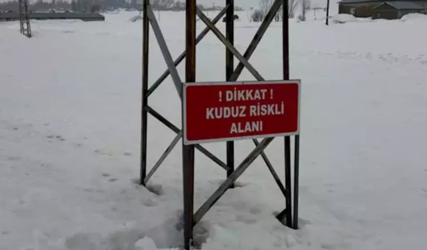 Hakkari’de eşekte kuduz tespit edildi, köy karantinaya alındı