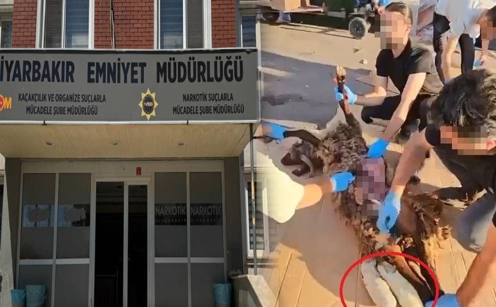 Diyarbakır’da koyunun karnından uyuşturucu çıktı!