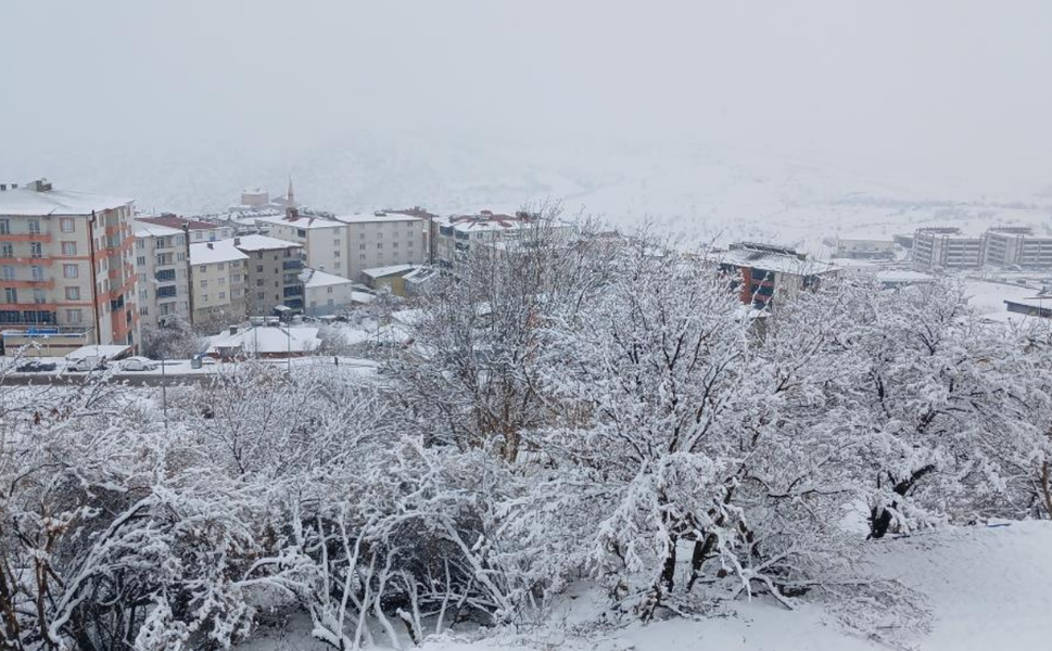 Kulp’ta kış sert yüzünü gösterdi: Kar yağışı hayatı durdurma noktasına getirdi