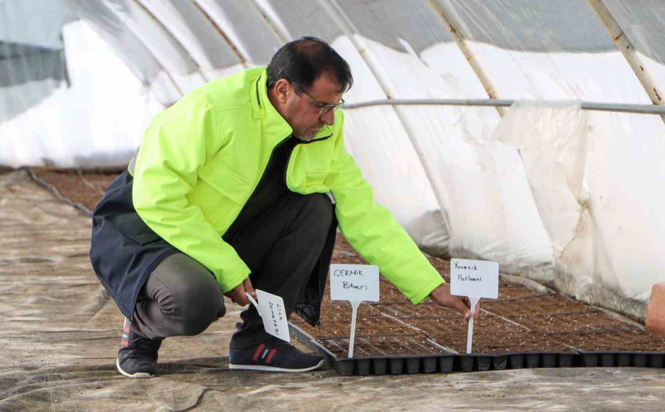 Diyarbakır’da çiftçilere ücretsiz fide desteği