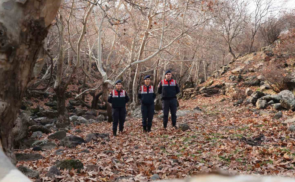 Diyarbakır’da ekolojik denge için kapsamlı çevre çalışmaları
