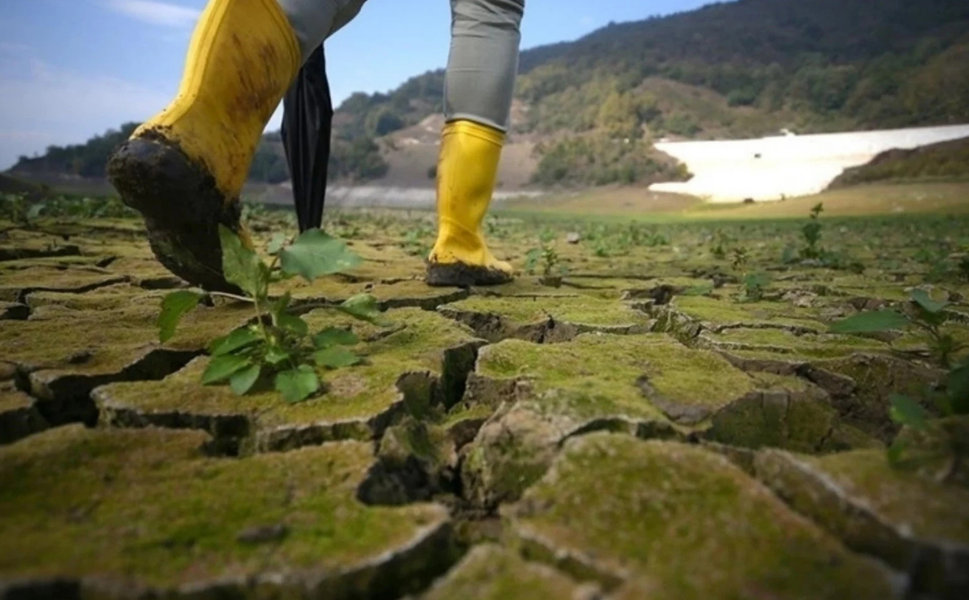 İklim dezenformasyonu küresel tehdit haline geldi