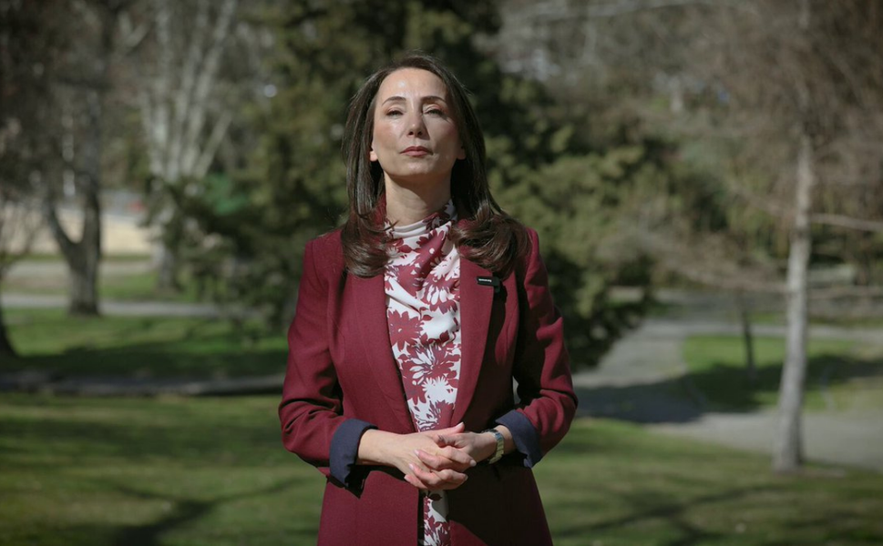 DEM Parti’den Newroz çağrısı: “Alanlarda buluşalım”