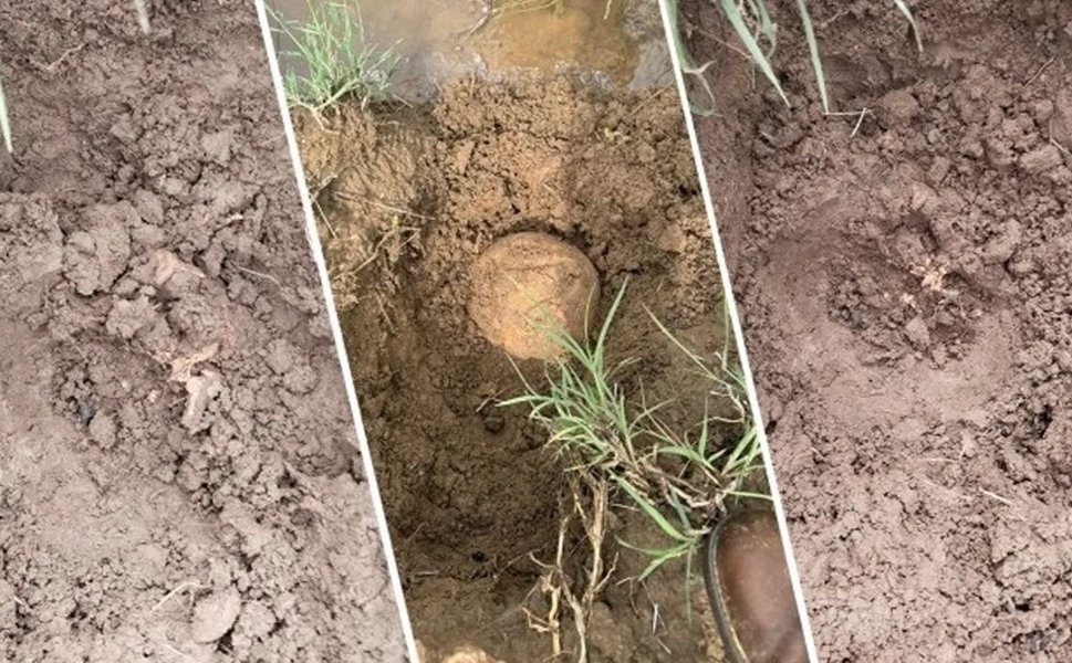 Lice'de bulunan kemiklerle ilgili yeni gelişme: Kime ait olduğu belirlendi