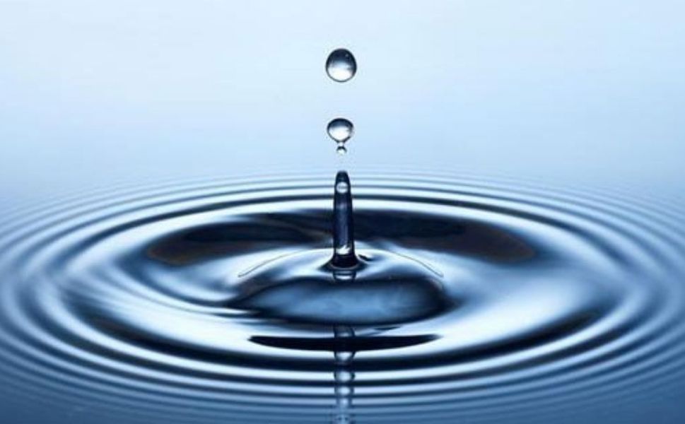 Diyarbakır'da Gıda Mühendisleri Odası'ndan suyu koruma çağrısı